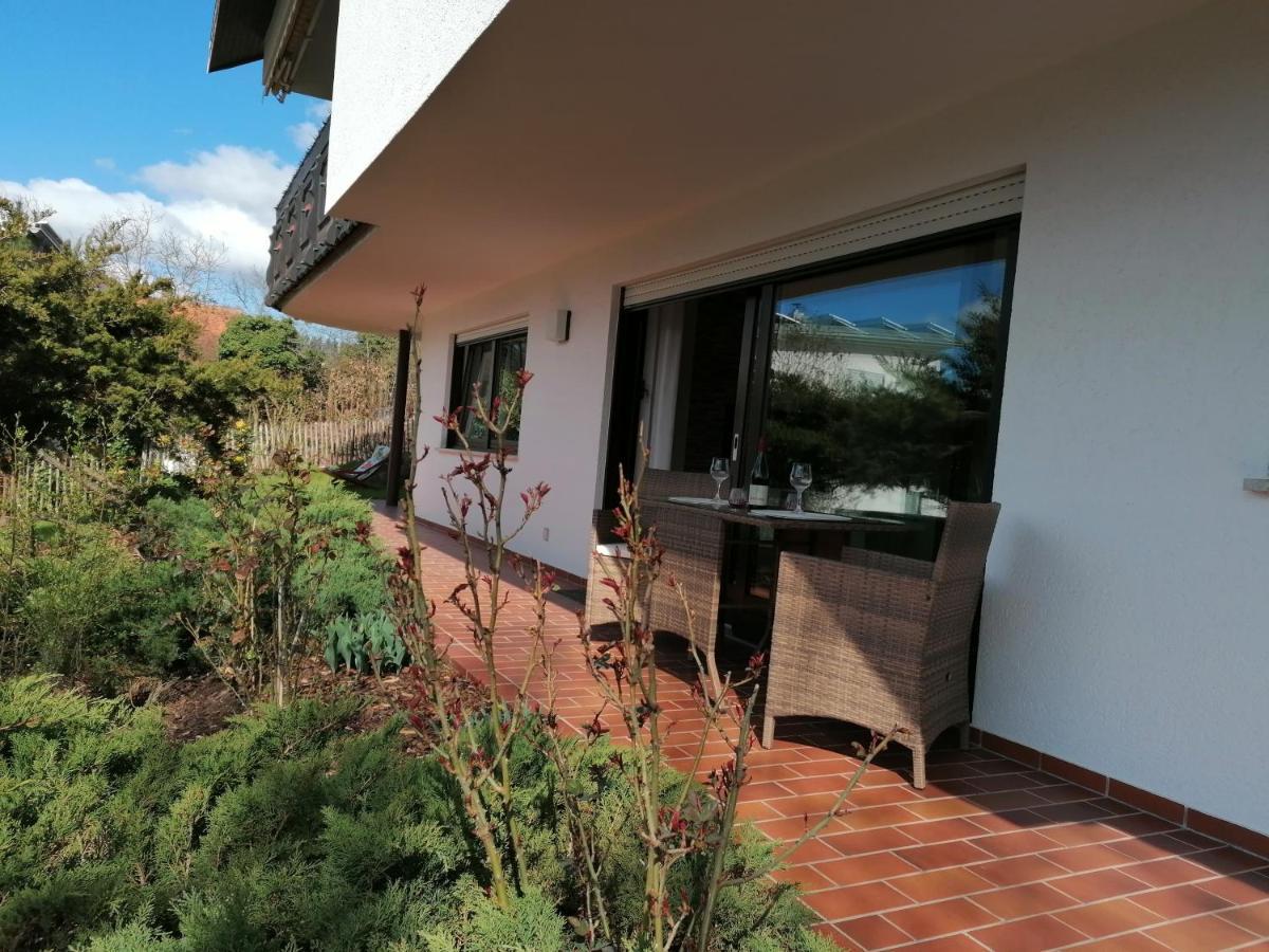 Mit Burgblick Appartamento Kreuzwertheim